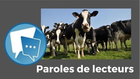 Paroles de lecteurs Vives r&eacute;actions &agrave; propos de la tribune sur la productivit&eacute; laiti&egrave;re | Actualit&eacute;s de l'&eacute;levage | Scoop.it