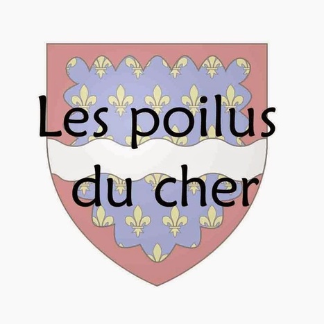 Saint-Doulchard - indexation des Poilus Morts pour la France mentionnés dans le Livre d'Or | Autour du Centenaire 14-18 | Scoop.it