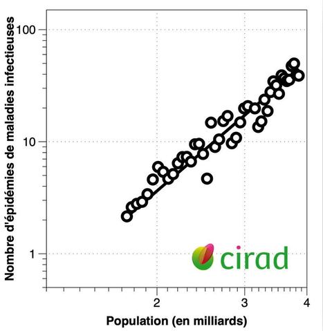 Entre zoonoses et déforestation, des liens pas si évidents | EntomoNews | Scoop.it