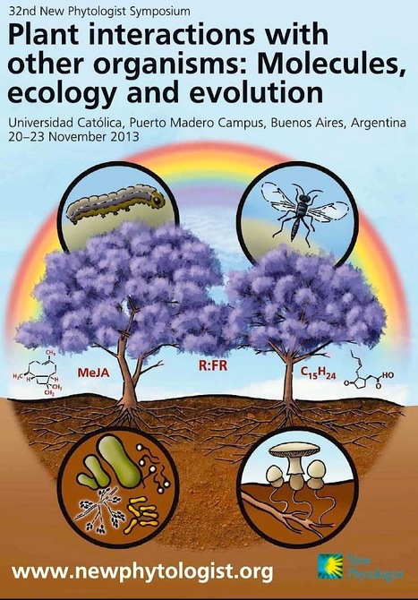 32nd New Phytologist Symposium: Plant interactions with other organisms: Molecules, ecology and evolution (2013) | Plant-Microbe Symbiosis | Scoop.it