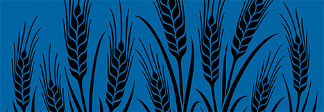 The Global Food Security Index 2016 | International development | Scoop.it