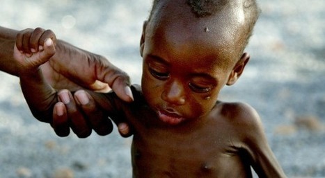 Sahel: vers une grave crise alimentaire | Questions de développement ... | Scoop.it