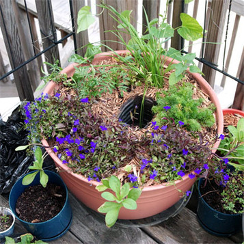 Water Reservoir - DIY for a planter | Gardening Life | Scoop.it