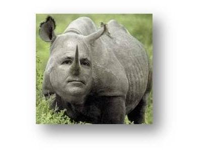 Should I stay or should I go? What's a Moderate Republican to do? | Electile Dysfunction | Scoop.it