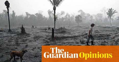 The Amazon is a matter of life and death for all of us. We must fight for it | Jonathan Watts | Opinion | | RAINFOREST EXPLORER | Scoop.it