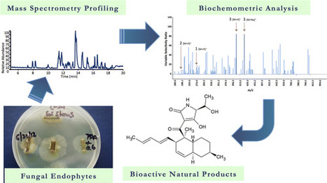 Biochemometrics for Natural Products Research: Comparison of Data Analysis Approaches and Application to Identification of Bioactive Compounds | Natural Products Chemistry Breaking News | Scoop.it