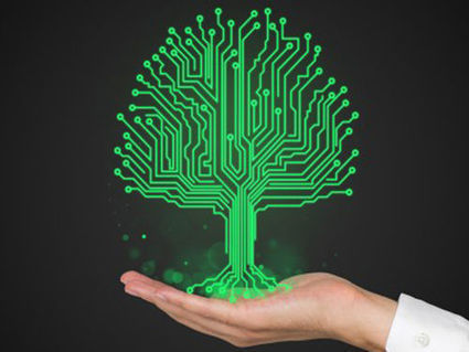 Pleased, la plante cyborg qui surveille l&rsquo;environnement | Science & Transhumanisme | Scoop.it