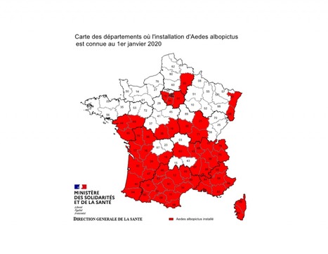 Moustique-tigre : deux fois plus de signalements de dengue, de chikungunya et de Zika en un an en France | EntomoNews | Scoop.it