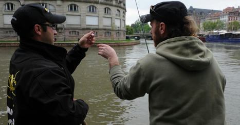 Conseil municipal de Strasbourg. La Ville interdit la pêche aux appâts vivants | Strasbourg Eurométropole Actu | Scoop.it
