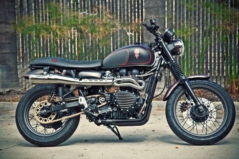 custom triumph scrambler for sale