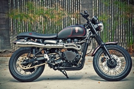 custom triumph scrambler for sale