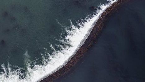 Climate risk and response | McKinsey | Entrepreneurship, Innovation | Scoop.it