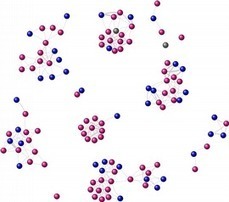 PhD position on the analysis and modelling of animal social networks | CxAnnouncements | Scoop.it