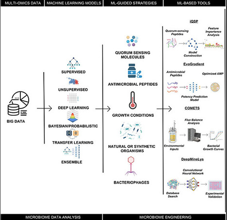 Machine Learning in Microbiome Research and Engineering | asb | RMH | Scoop.it