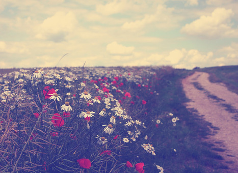 Instagram Quick Effect In Photoshop | Photoshop Photo Effects Journal | Scoop.it