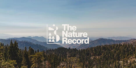 The Nature Record | RAINFOREST EXPLORER | Scoop.it
