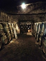 Cognac, It’s All About the Barrels - PALATE PRESS | The Cognac and its vineyards | Scoop.it