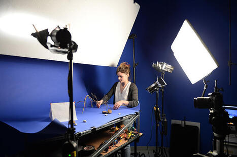 Le guide des &eacute;coles d'art 2026 | Enseignement secondaire et sup&eacute;rieur | Scoop.it