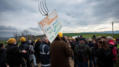 [INP-AgroToulouse] Face &agrave; la dermatose bovine, les syndicats agricoles appellent &agrave; se mobiliser contre l'abattage total (avec Fran&ccedil;ois Purseigle) | InM&eacute;dias | Scoop.it