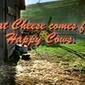 7 Ways to Use Humor in Your Online Marketing | Life and humor...the last laugh | Scoop.it