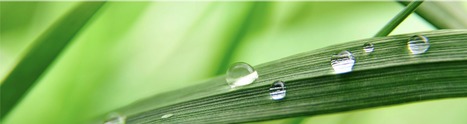 Spiga Nord's refined polyglycerols are non toxic and non dangerous | Tailored Expertise Sourcing & Market Intelligence in Global Consulting | Scoop.it