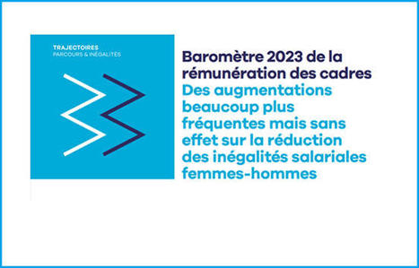 Baromètre 2023 de la rémunération des cadres | Actu insertion pro - SOIE Lyon 1 (conseils, marché de l'emploi, évolutions, ...) | Scoop.it