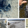 Remotely Piloted Systems