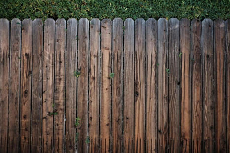 How to Maintain and Care for Your Wood Fence | Best Backyard Patio Garden Scoops | Scoop.it