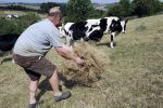 Sécheresse : un million de tonnes de paille seront acheminées aux agriculteurs - LeMonde.fr | Notre planète | Scoop.it