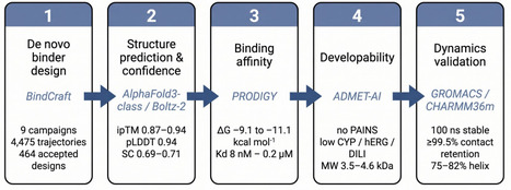 UnibindMD: An Integrated AI and Molecular Dynamics Platform for De Novo Peptide Binder Design | brvai | RMH | Scoop.it