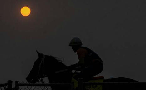 Stronach CEO says plan is &lsquo;to concentrate on Pimlico&rsquo; as primary track | Racing Business | Scoop.it