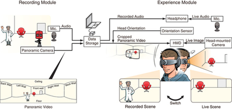 Substitutional Reality System: A Novel Experimental Platform for Experiencing Alternative Reality : Scientific Reports : Nature Publishing Group | Simulation in Health Sciences Education | Scoop.it