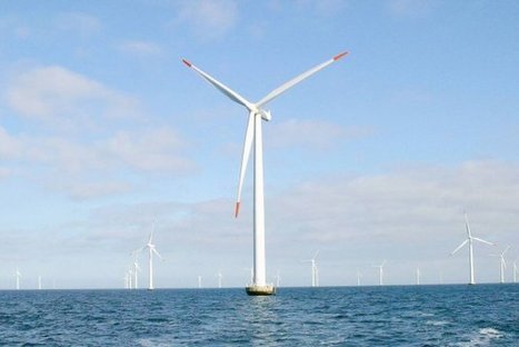 Dieppe : l'autorité environnementale sceptique sur les éoliennes en mer | Biodiversité | Scoop.it