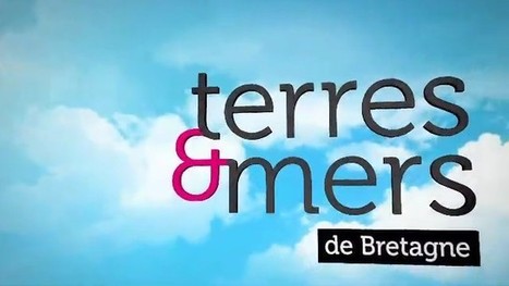 Le bien être animal (vidéo) - TébéSud | Graines de doc | Scoop.it