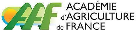 "Métabolites spécialisés des plantes et agriculture", Académie d'Agriculture de France, 24 avril 14:30 | Plant Sciences | Scoop.it