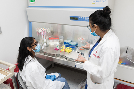 UW-Madison glioblastoma vaccine research threatened by federal cuts | Industry 411 - Waste Management | Scoop.it