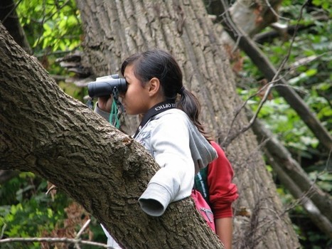 BALM IN GILEAD: Racism as an Environmental Issue, Nature as a Healing Force | Rainforest CLASSROOM | Scoop.it