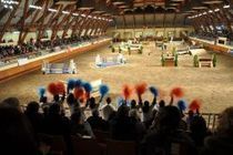 Un premier cross indoor inoubliable à Saumur ! - Actualité équestre - Equivista, le site communautaire des passionnés du cheval | Cheval et sport | Scoop.it
