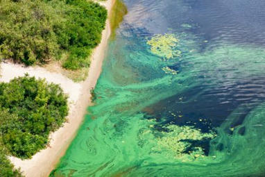 Algal Bloom Hotspots Where Are The Most Affected Areas In The US | Remotely Piloted Systems | Scoop.it
