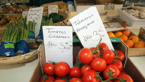 ENTRETIEN. Sécheresse : "Les producteurs de fruits et légumes sont inquiets" - Ladepeche.fr | Agriculture et Alimentation Durable Méditerranéenne | Scoop.it