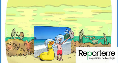 Les sargasses pourrissent la vie des Antillais | Toxique, soyons vigilant ! | Scoop.it