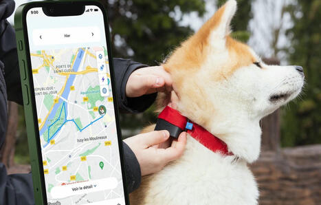 Localisation, activité, santé… Un tracker GPS pour chien veut prévenir pour mieux guérir | @ZeHub | Scoop.it
