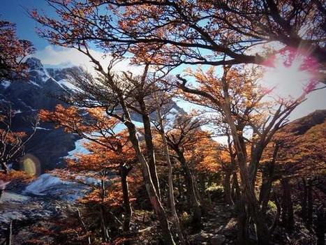 French Valley, Torres del Paine National Park | Trekking | Scoop.it