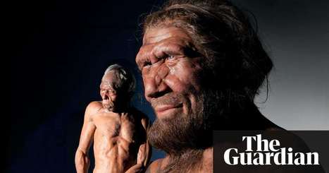 Scientists to grow 'mini-brains' organoids using Neanderthal DNA | Amazing Science | Scoop.it