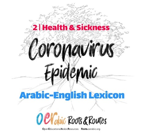CoronaVirus Epidemic Lexicon (Arabic-English) | Race and diversity | Scoop.it