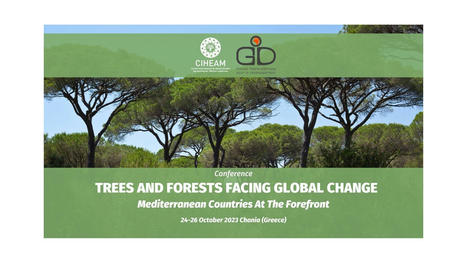 Trees and FORESTS facing global change: Mediterranean Countries At The Forefront | CIHEAM Press Review | Scoop.it