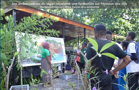 Lancement de l'appel à projets "Les ambassadeurs du lagon dans les villages" - TEMEUM | Biodiversité | Scoop.it