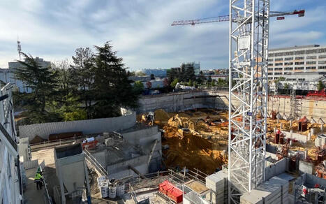 Chantiers et biodiversit&eacute;, entre valorisation et impact | Regards crois&eacute;s sur la transition &eacute;cologique | Scoop.it