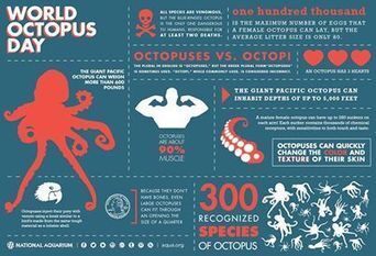 Happy World Octopus Day! Here are a few... from Ecotourism Australia | Coastal Restoration | Scoop.it