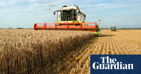 EU: European and British soils seriously degraded by intensive farming  | EUROPES | Scoop.it